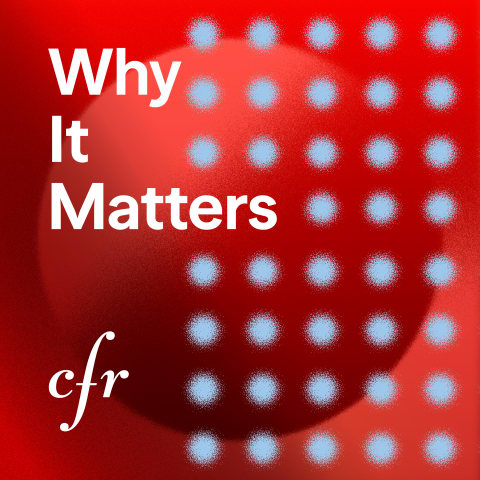 The Why It Matters cover image