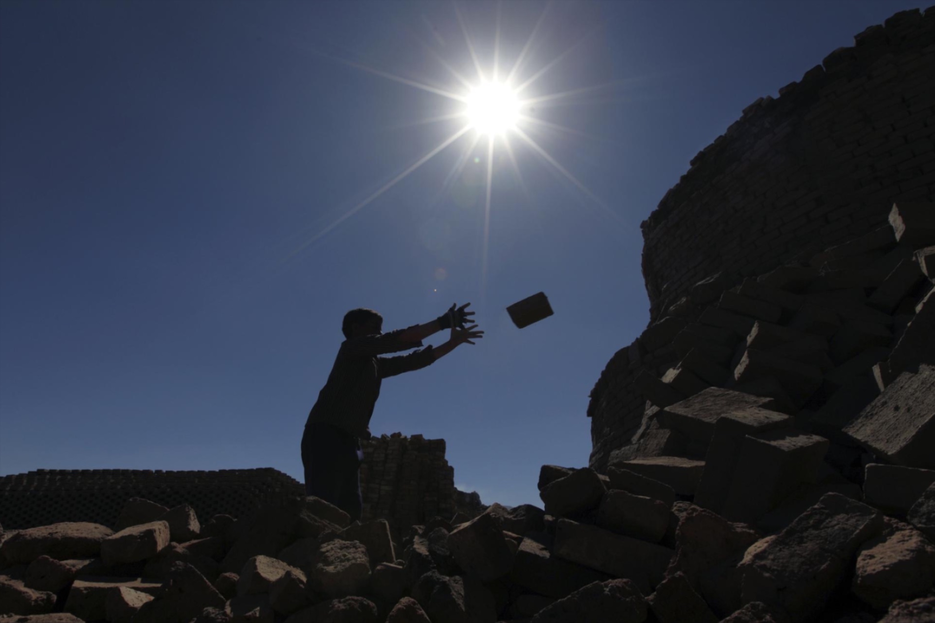 A boy takes dried mud blocks to a kiln where they are fired at a traditional brick manufacturing site in Sanaa, November 20, 2012.