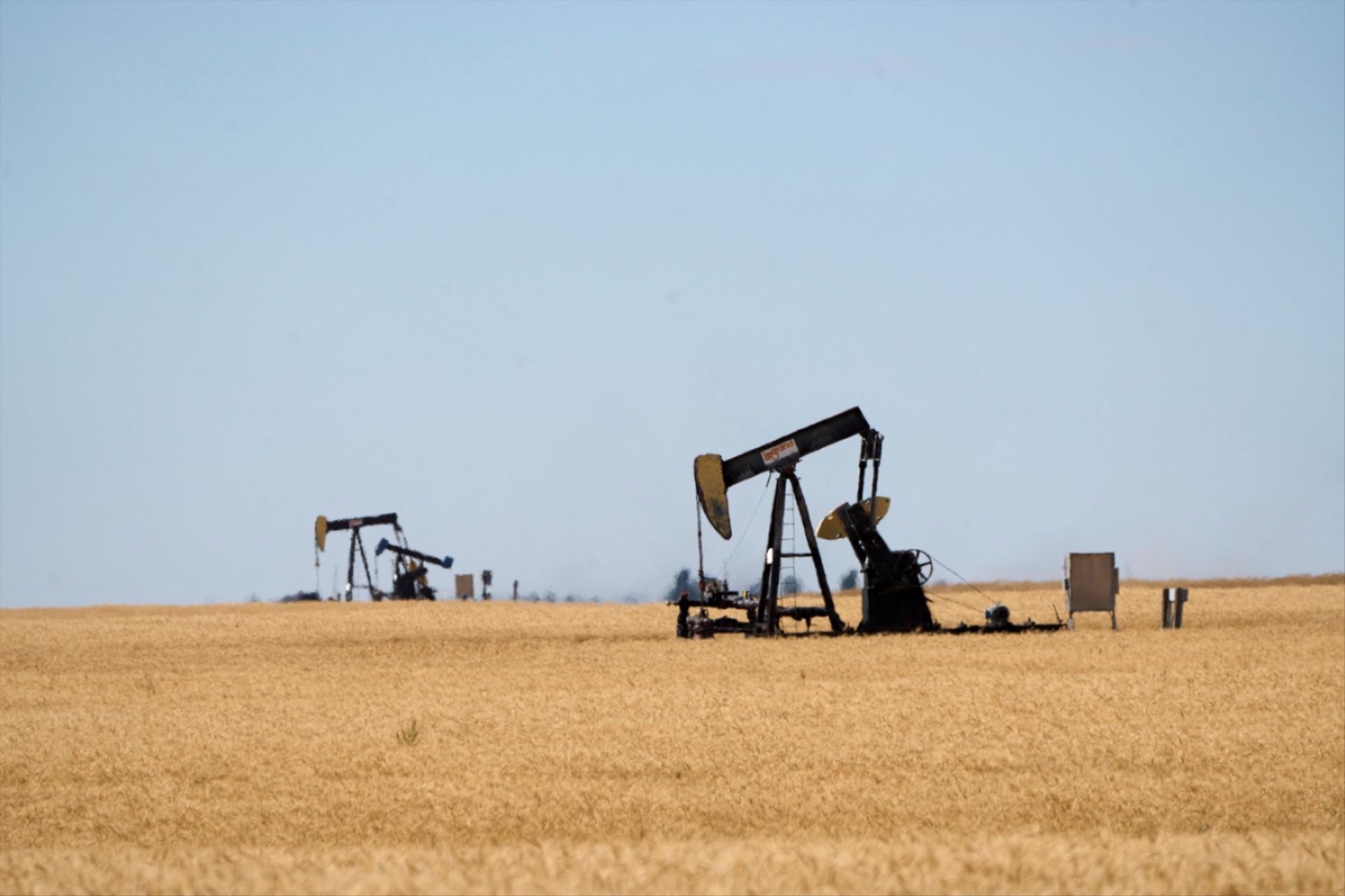 Oil pumpjacks are pictured in a farmer’s field near Kindersley, Saskatchewan, Canada September 5, 2024.