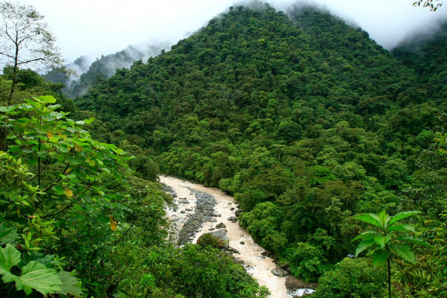 General view of the National Park Tapamti in Orosi, 80 miles (128km) of San Jose May 25, 2007. REUTERS/Juan Carlos Ulate
