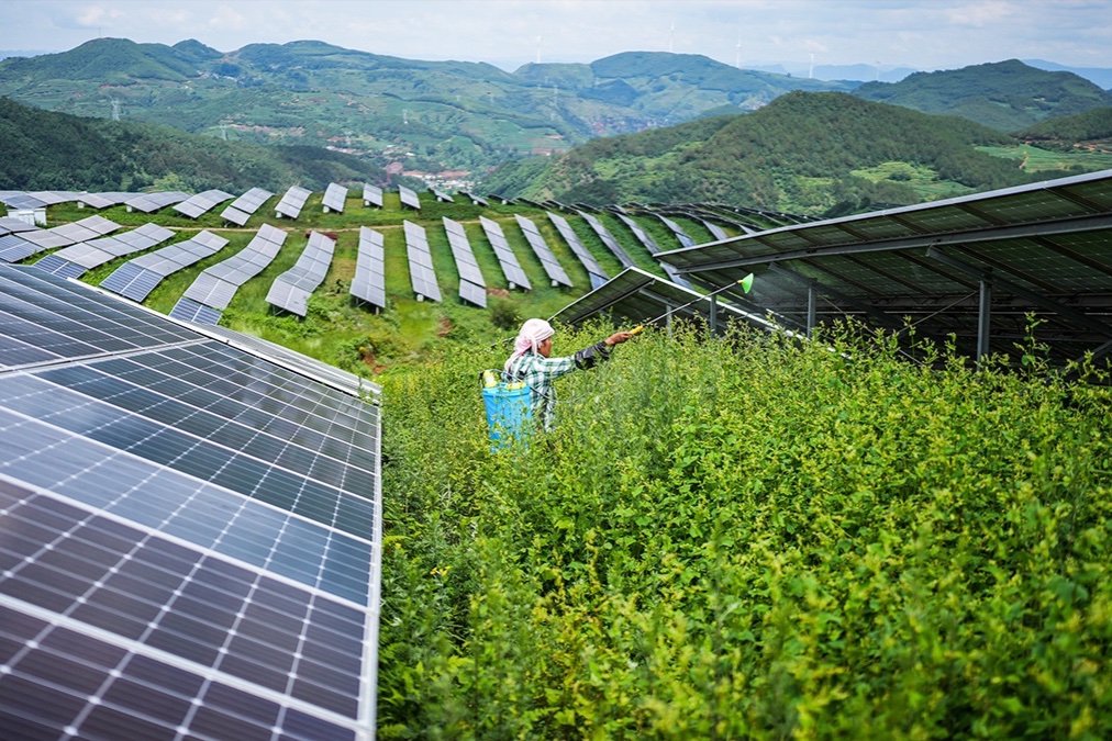 A farmer works amid photovoltaic panels at a solar power station in the Yi-Hui-Miao Autonomous County of Weining, southwest China’s Guizhou Province, July 3, 2025. 