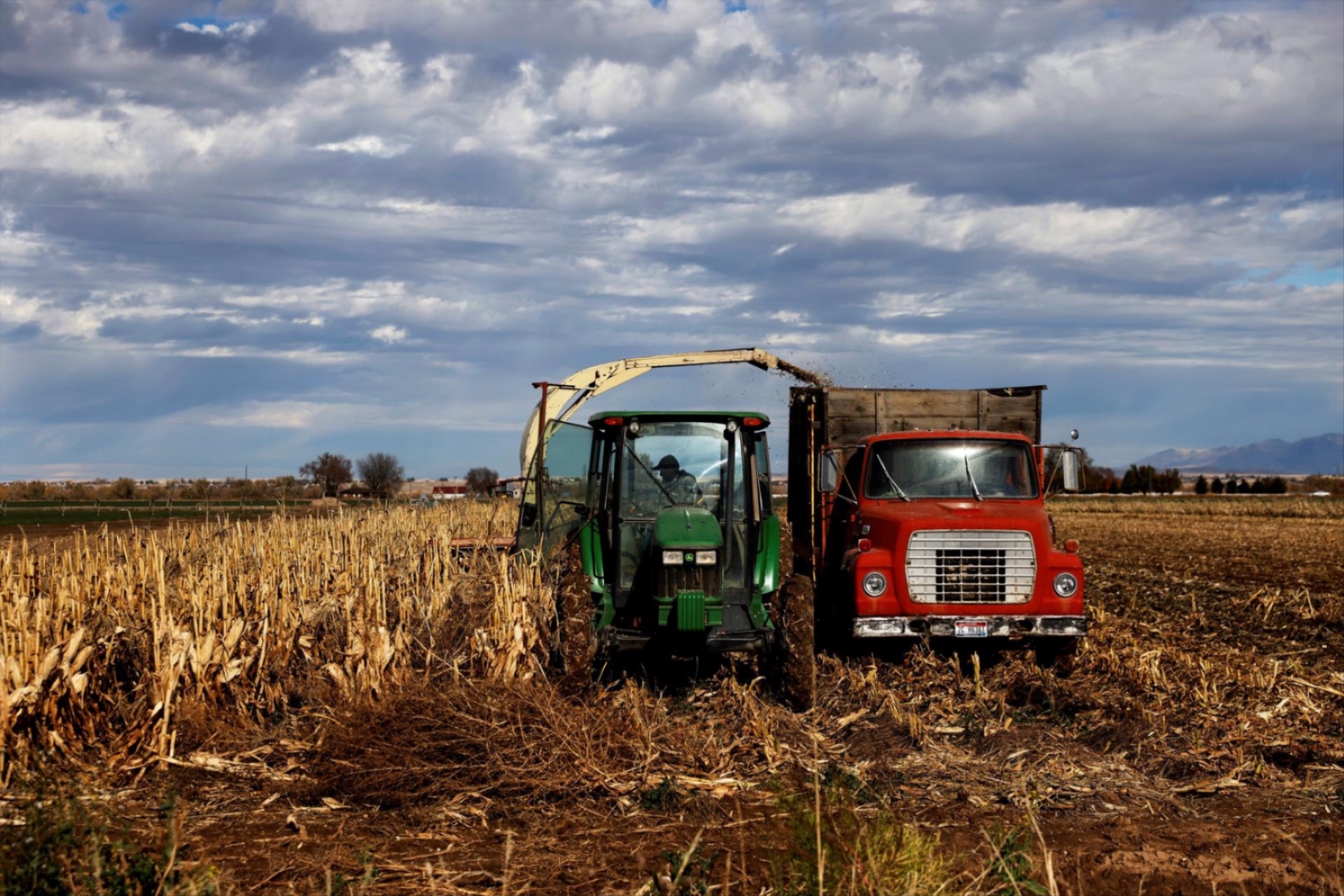 A man driving a tractor tends to corn fields in Star, Idaho, U.S., October 29, 2021.