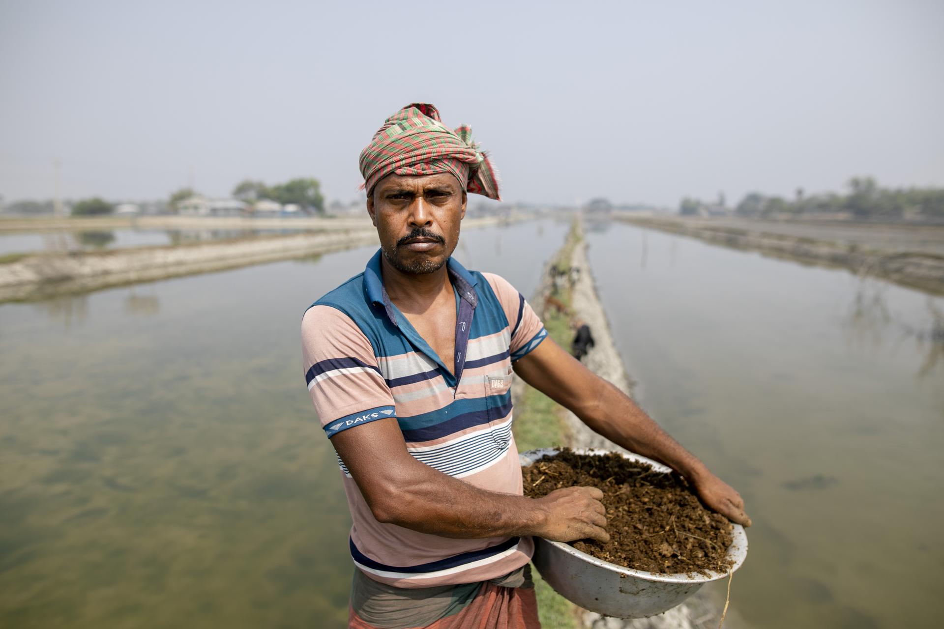 A man wearing a pink and blue shirt feeds a shrimp pond, scattering food across the water to sustain the growing stock.