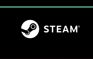 Steam
