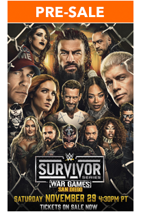 WWE Survivor Series: WarGames (2025)