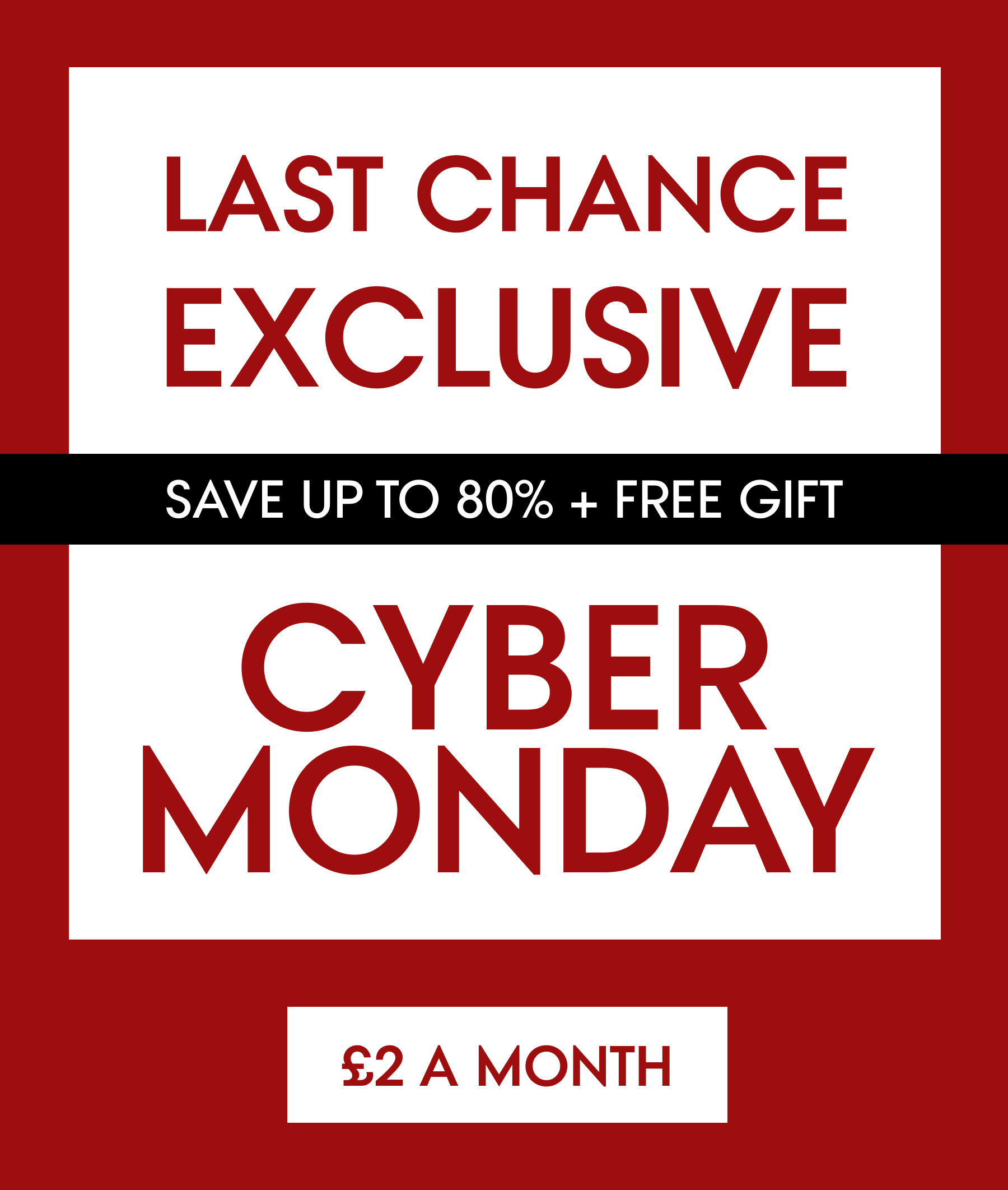 Cyber Monday Offer