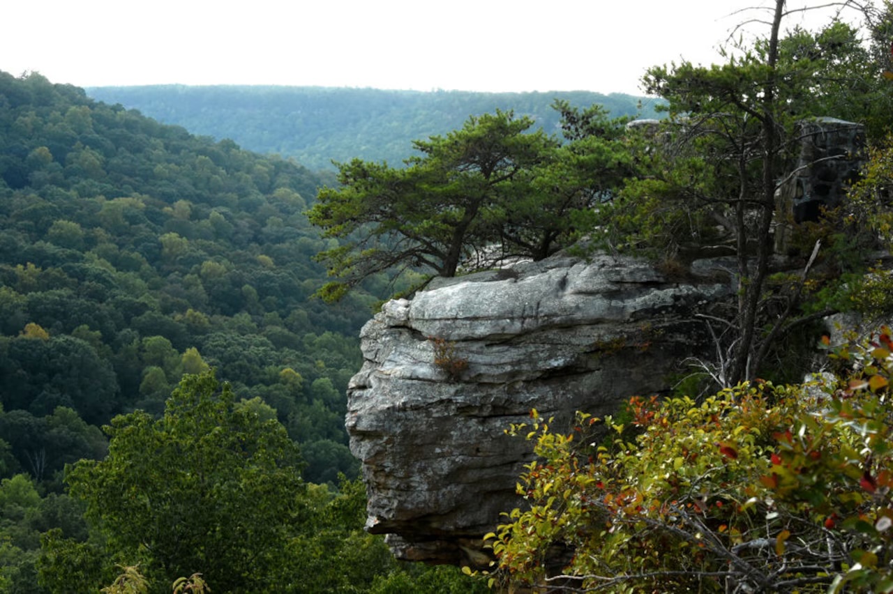 Where in Alabama is this?