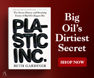 PLASTIC INC. by Beth Gardiner