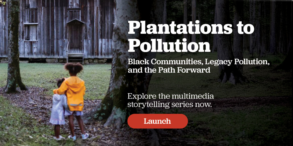 Plantations to Pollution