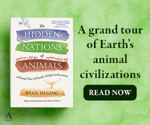 The Hidden Nations of Animals