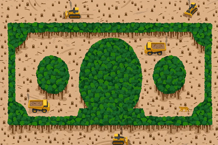 An illustration of trees being cut down in a rectangular area to make a specific shape. The remaining green trees make up the outline of the rectangle, and three circles.