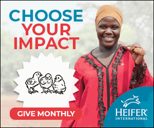 Choose Your Impact