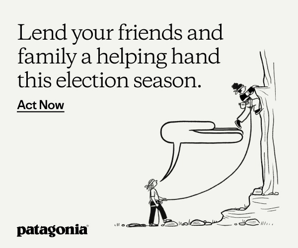 Patagonia: 11.2 million environmental voters skipped the last election