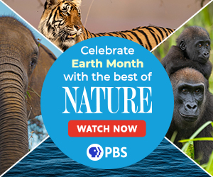 Celebrate Earth Month with the best of Nature