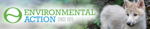 Environmental Action