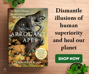 The Arrogant Ape