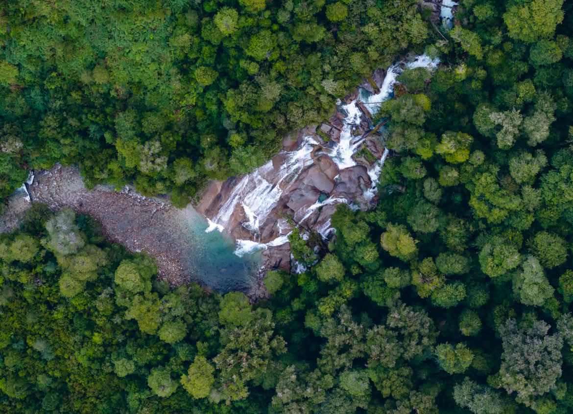 Aerial view of a waterfall surrounded by green trees.