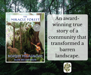 Miracle Forest