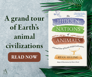 The Hidden Nations of Animals