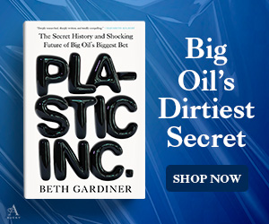 PLASTIC INC. by Beth Gardiner