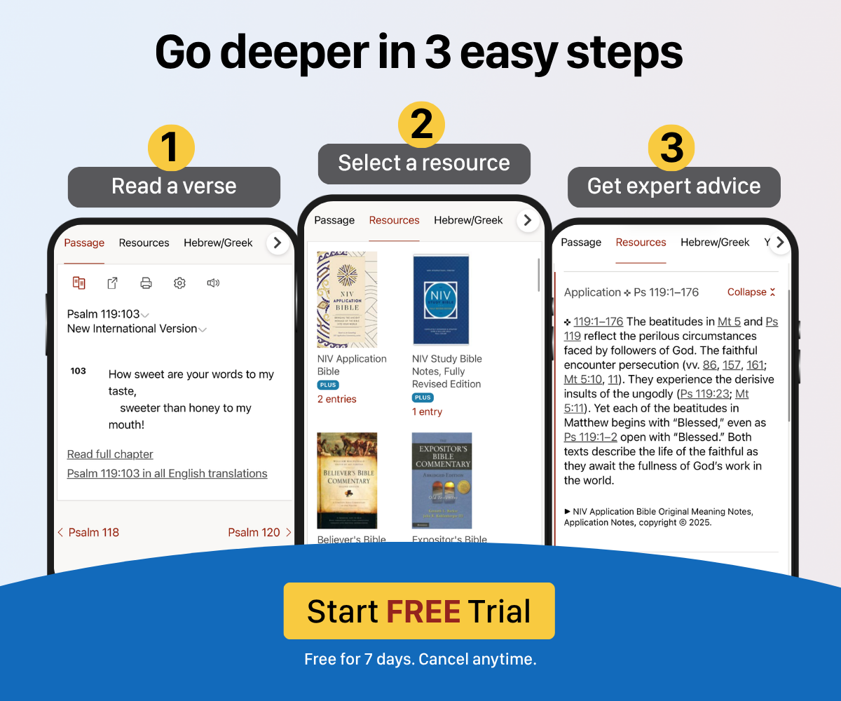 Choose your plan