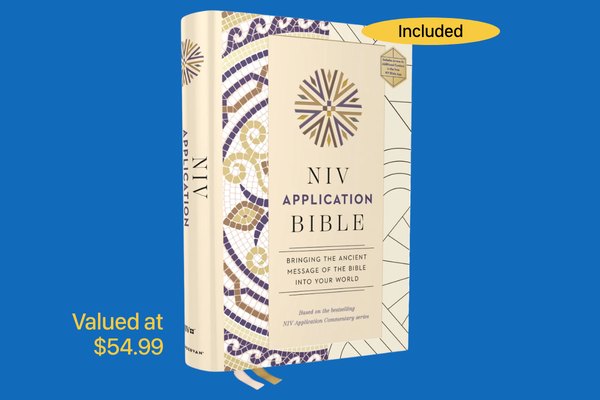 NIV Application Bible