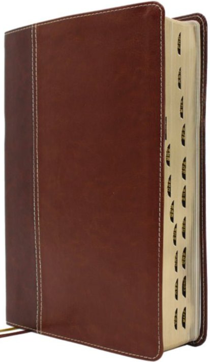NIV, Bonded Leather