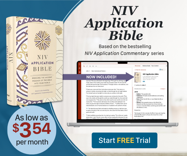 NIV Application Bible