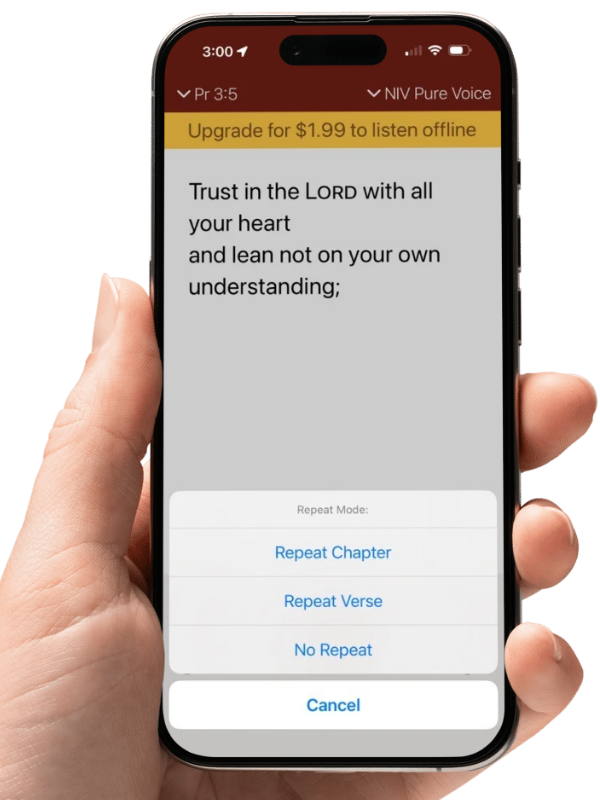 Audio App
