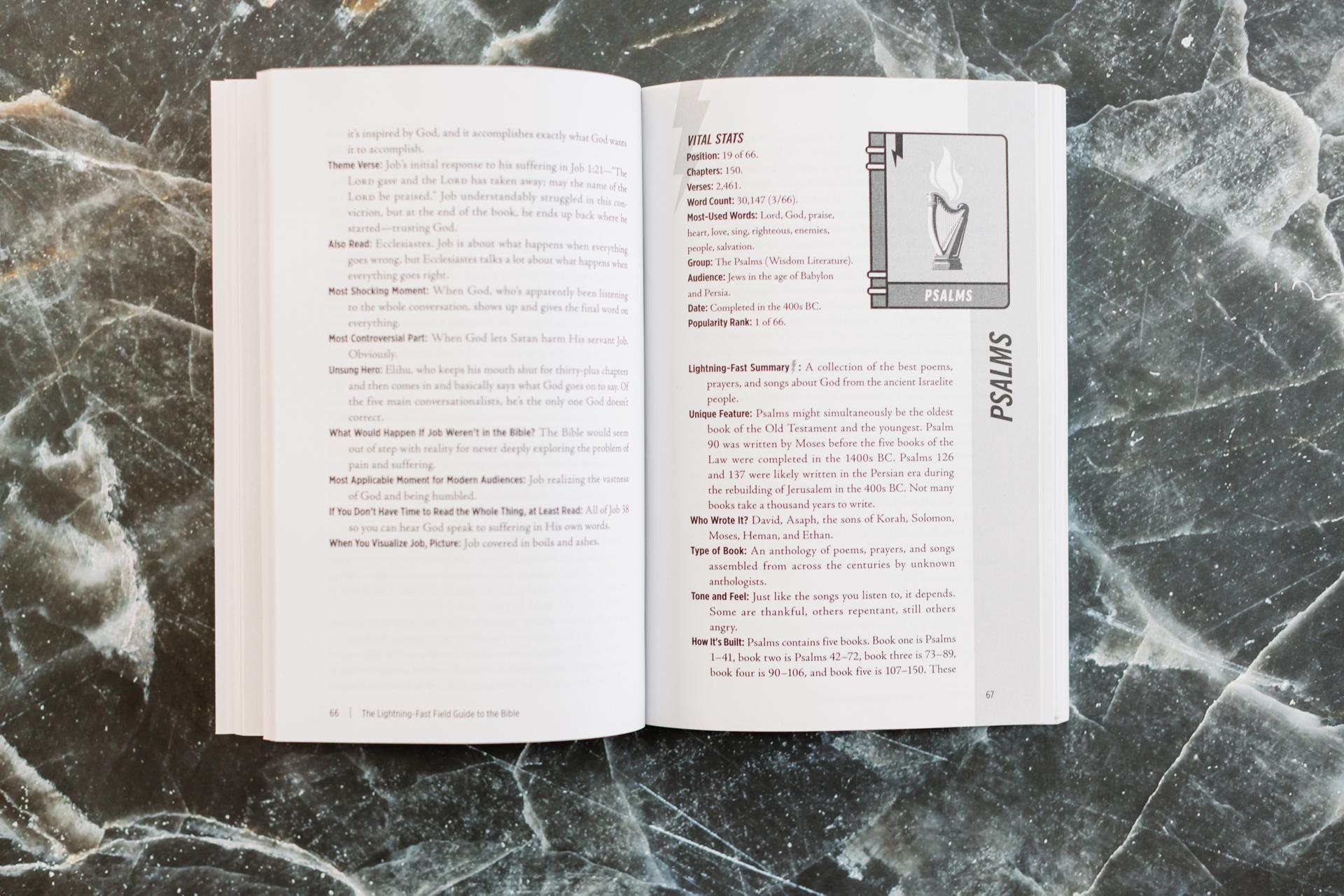 The Lightning-Fast Field Guide to the Bible