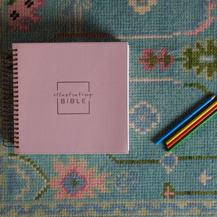 NIV, Spiral-bound Illustrating Bible