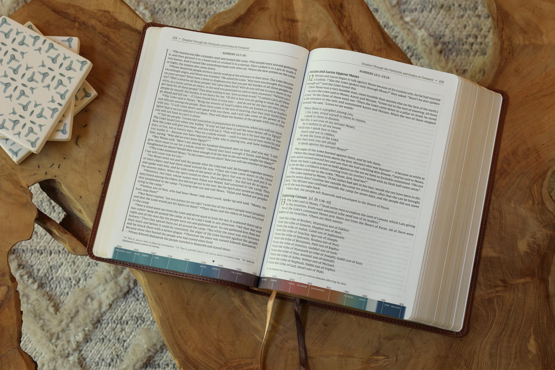 Pages from the NIV Timeline Bible 