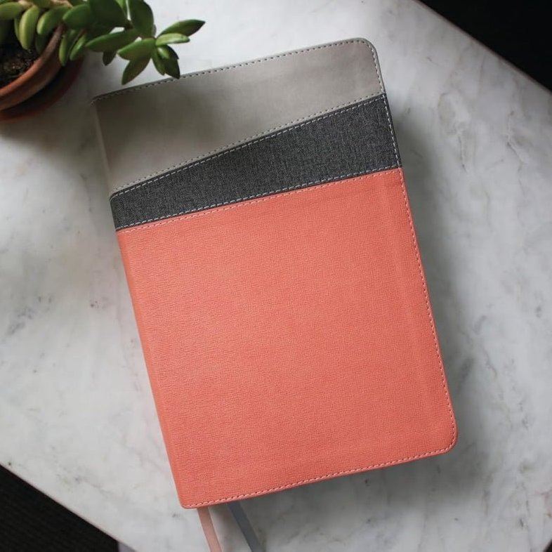 NIV Application Bible, Red Letter, Comfort Print