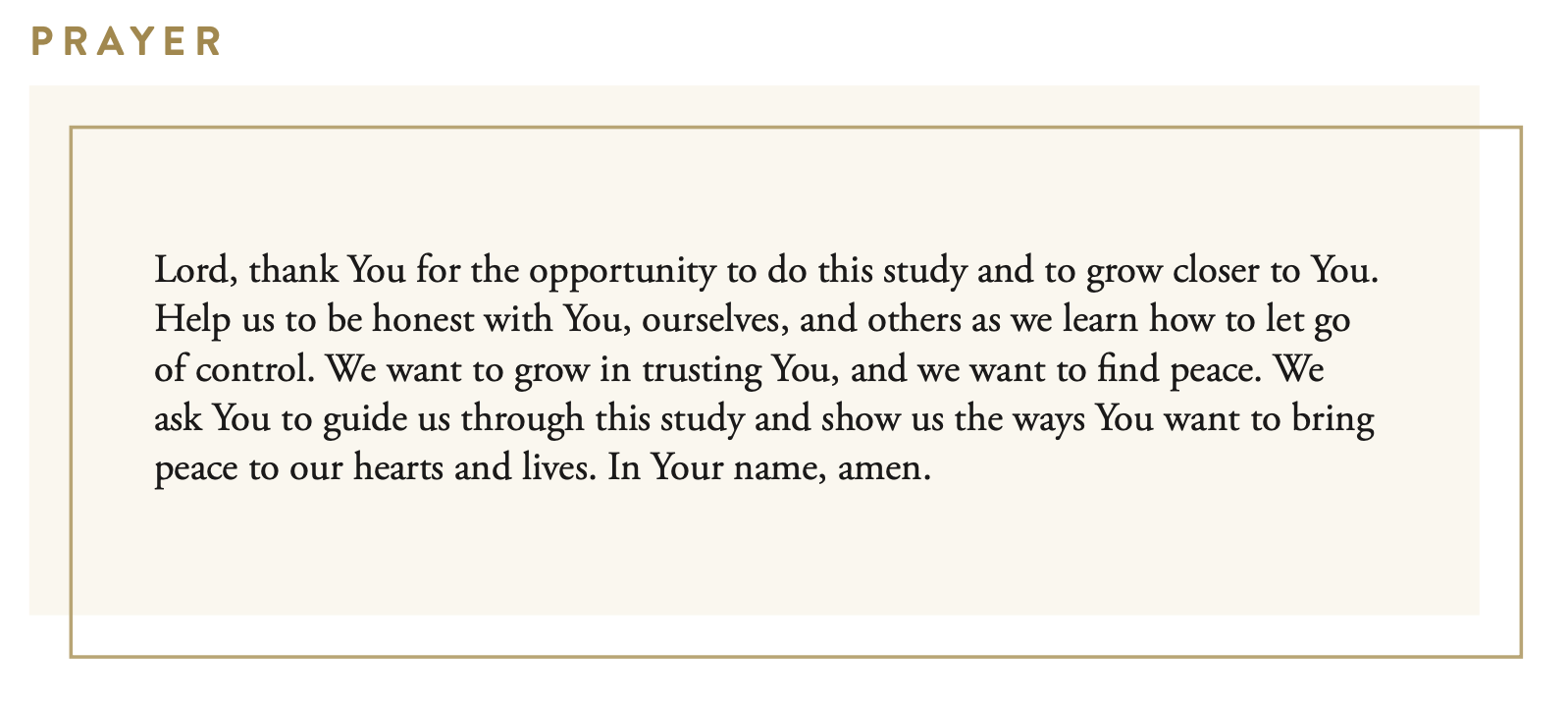 Making Peace with What I Can't Control Bible Study Guide plus Streaming Video