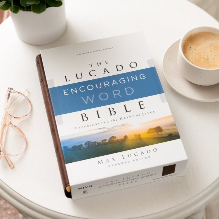 NIV, Lucado Encouraging Word Bible, Comfort Print