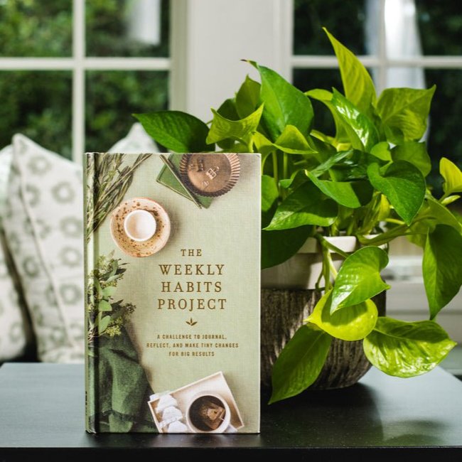 The Weekly Habits Project