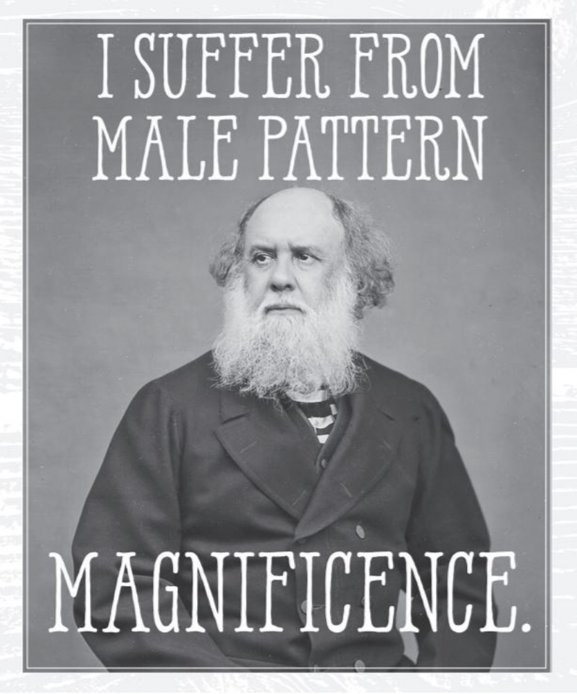 Bearded Gospel Men