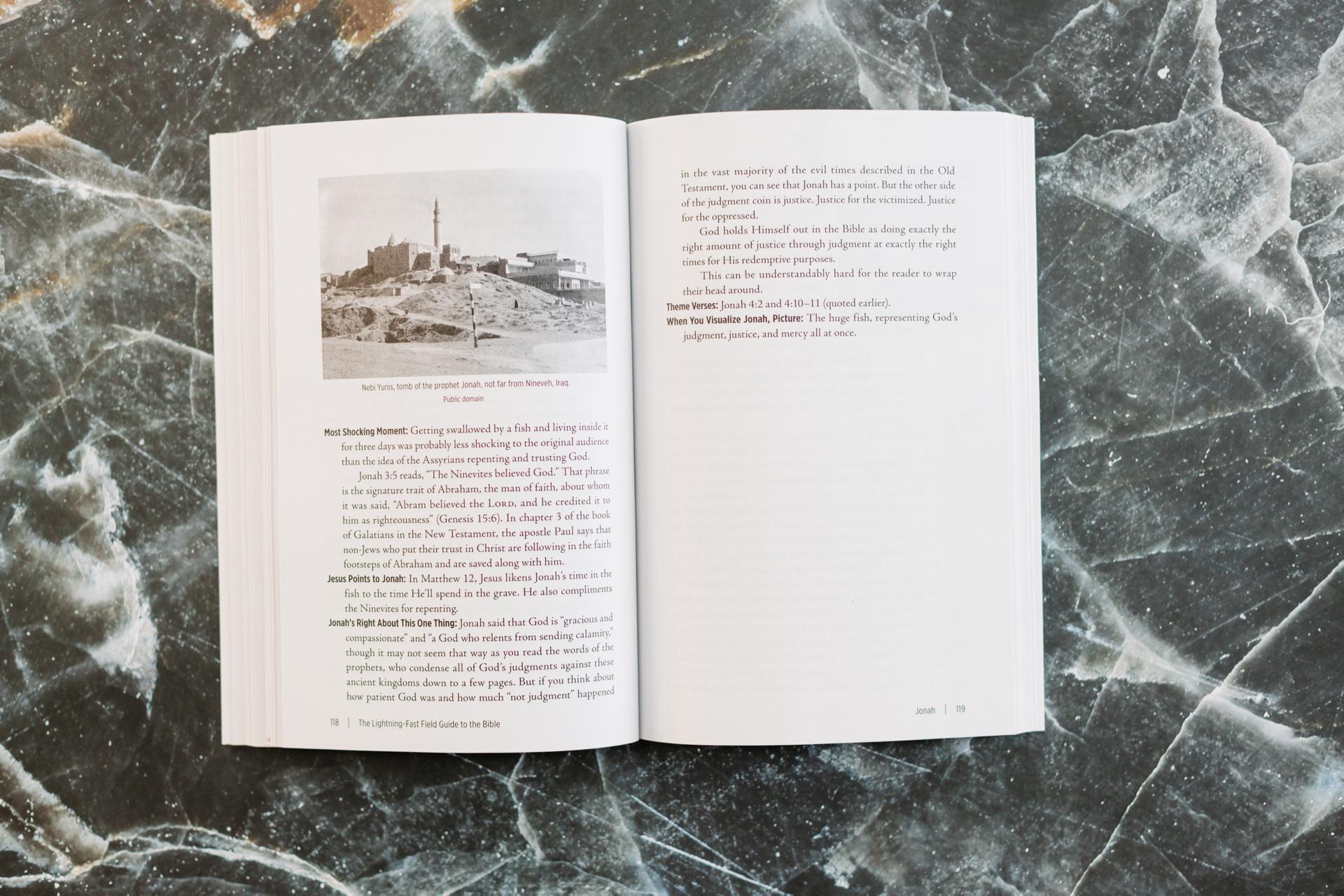 The Lightning-Fast Field Guide to the Bible