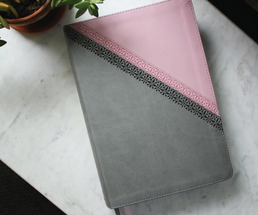 NIV Application Bibles