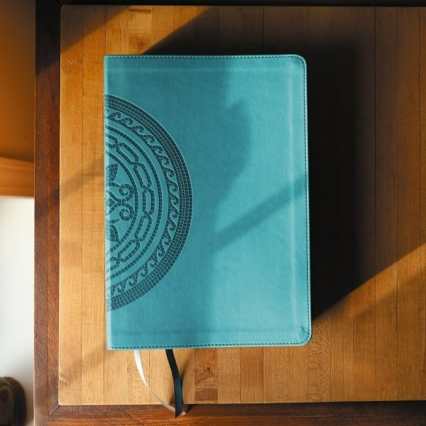 NIV Application Bible, Large Print, Red Letter, Comfort Print