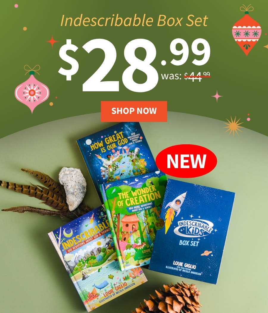 Early Bird Christmas Sale