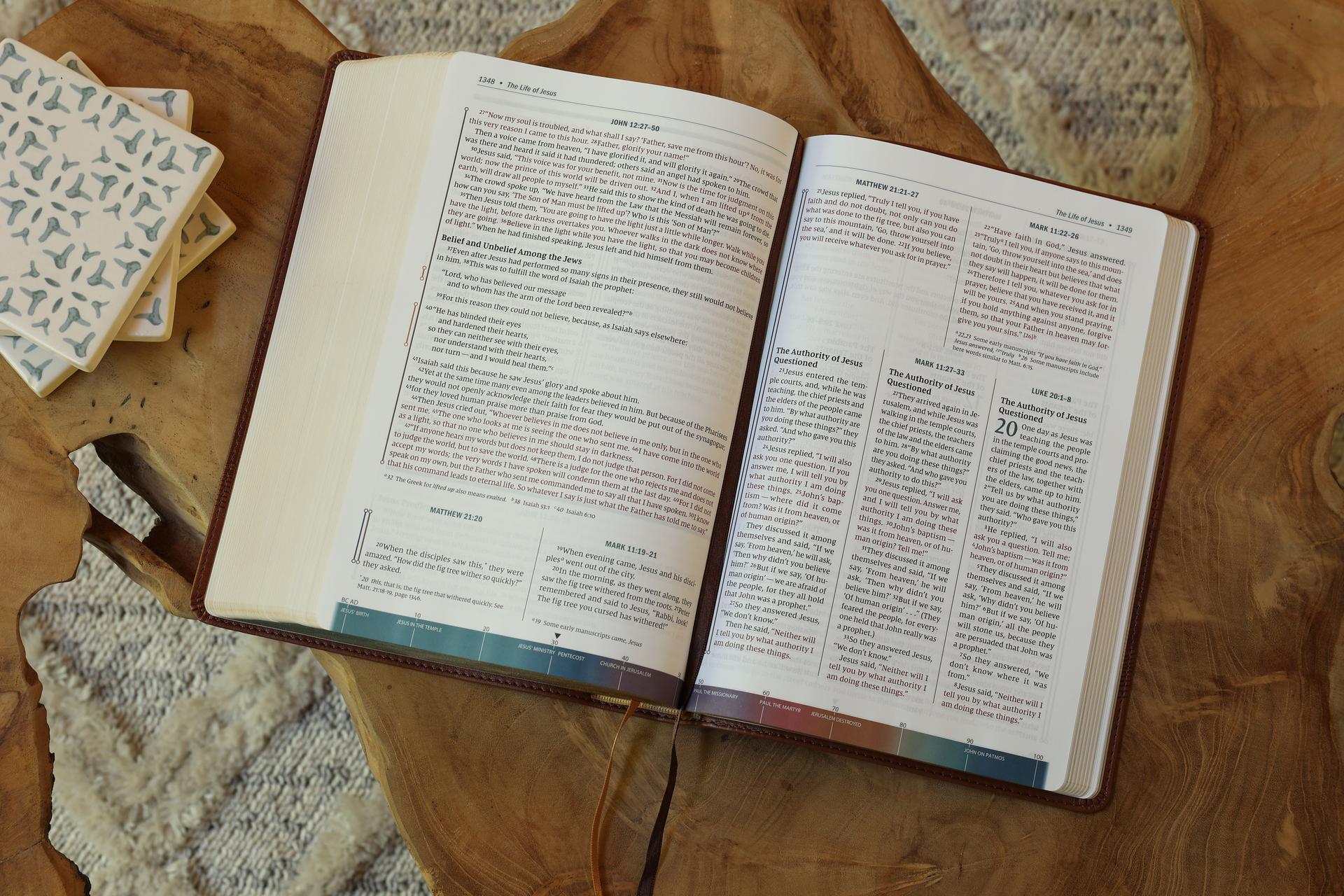 Pages from the NIV Timeline Bible 