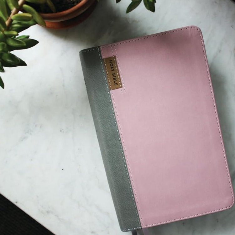 NIV Application Bibles