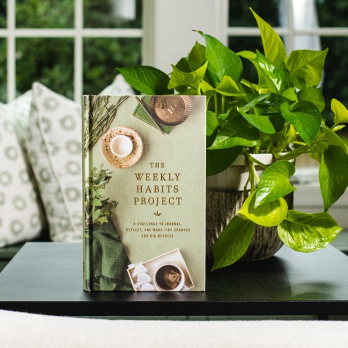 The Weekly Habits Project