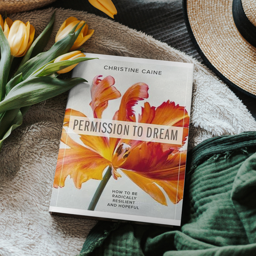 Permission to Dream