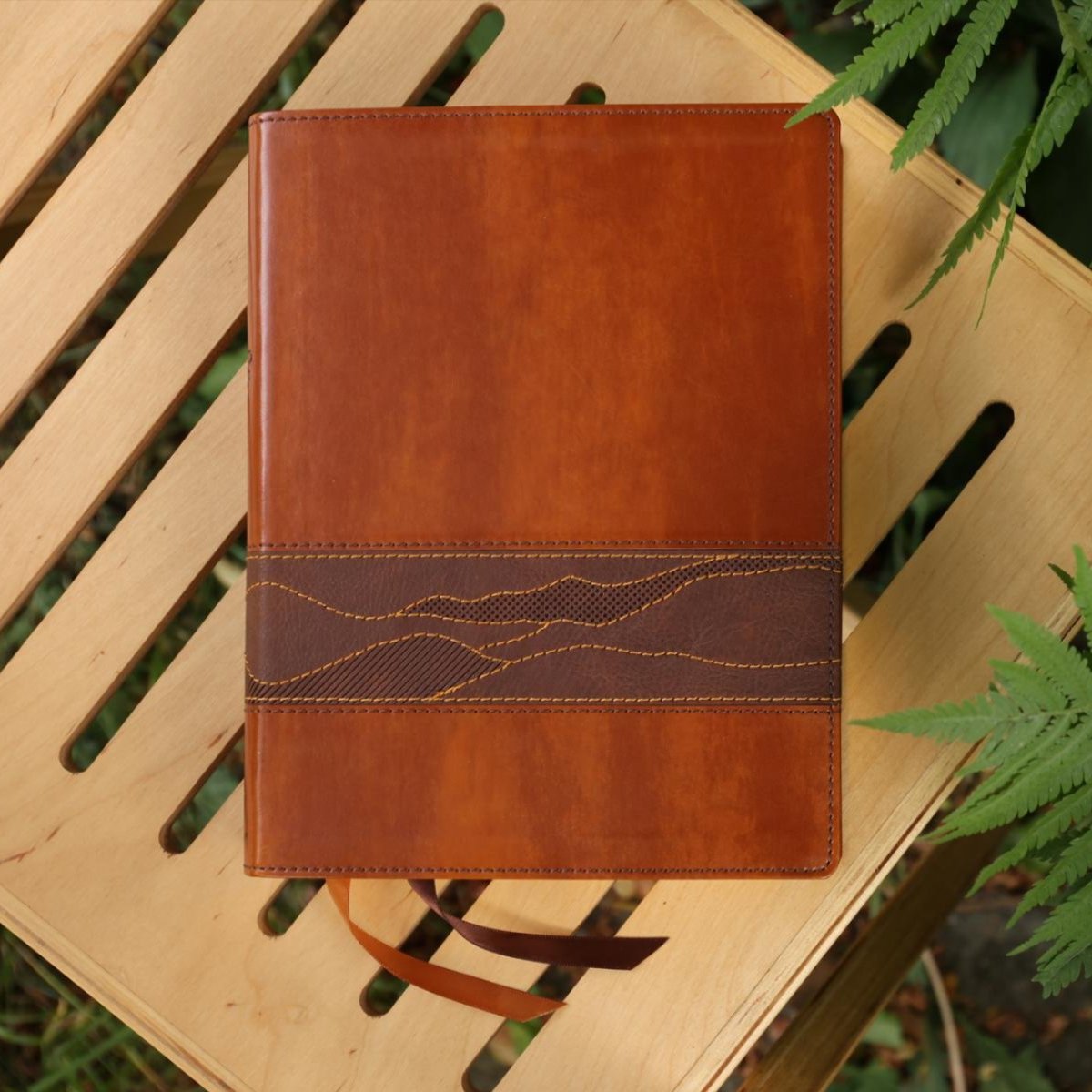 Rooted: The NIV Bible for Men, Comfort Print