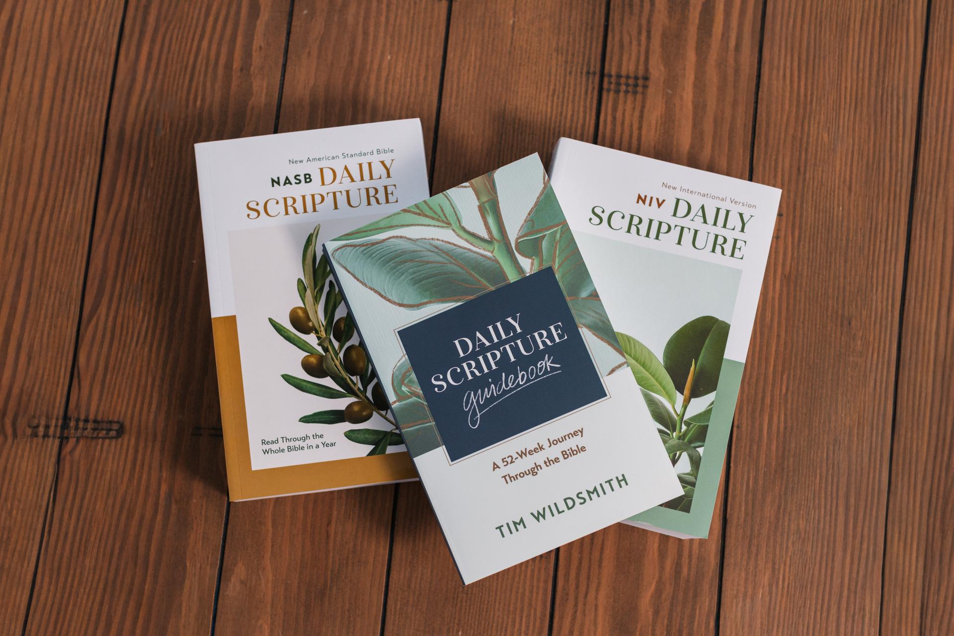 Daily Scripture Bibles and Guidebook