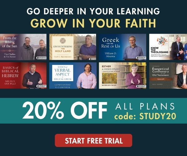 Summer Sale: 20% Off All Plans