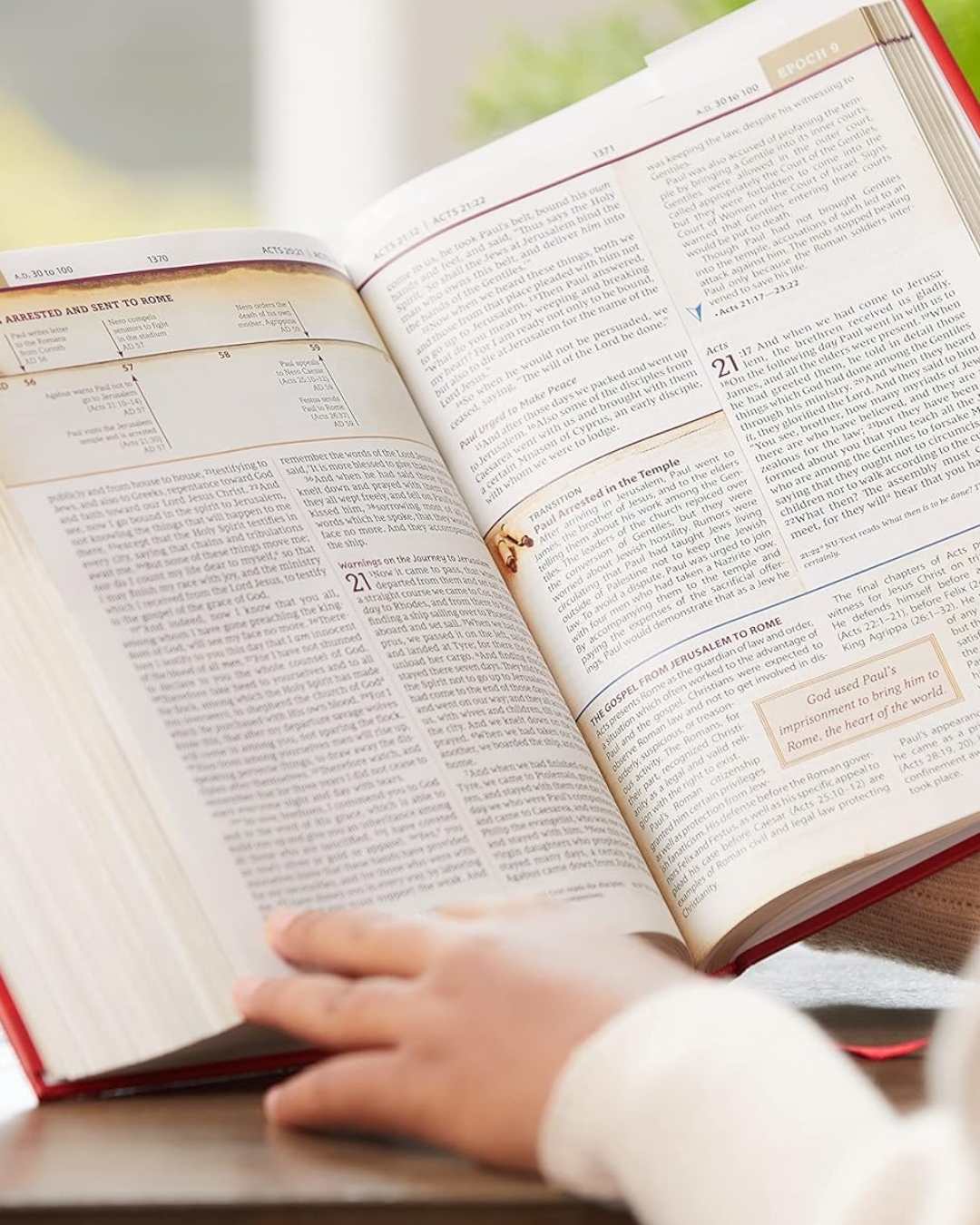 Time Panels in the Chronological Study Bible