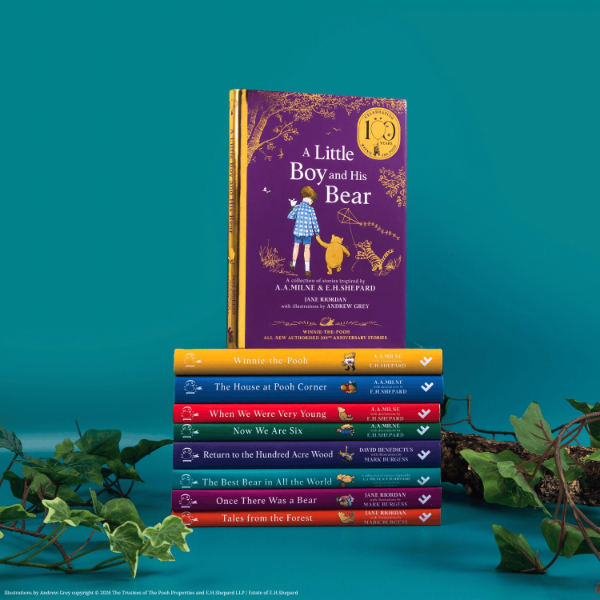 Book - A Little Boy and His Bear by Jane Riordan and Andrew Grey